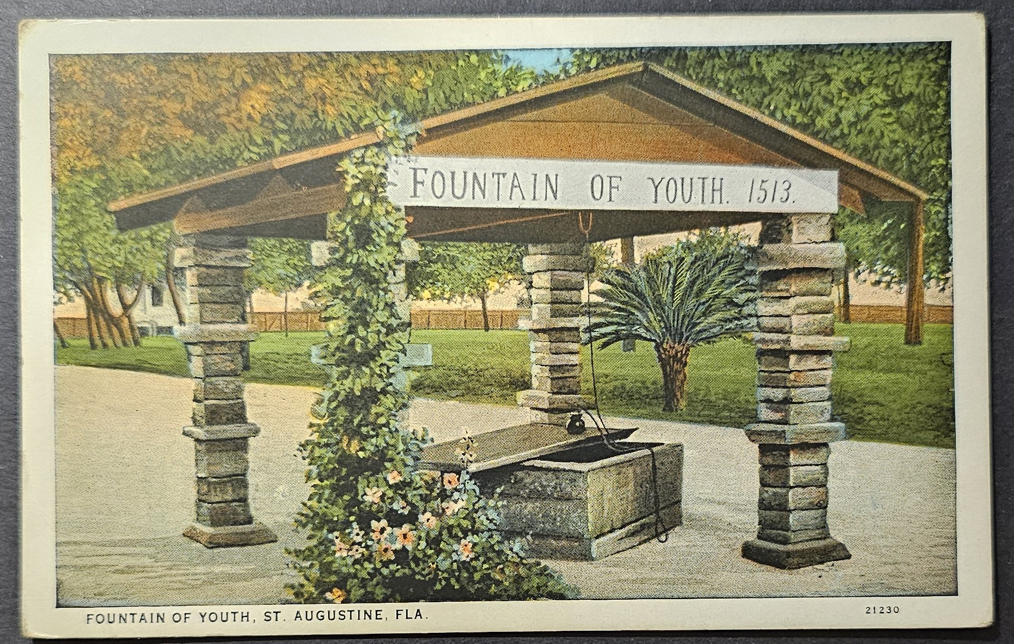 (image for) postcard USA - FL - Florida #0024